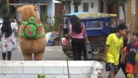 Peruvian police use capybara costume to lure, arrest suspected drug dealer