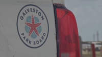 Galveston auditor looking into why park board employees cut checks to family members