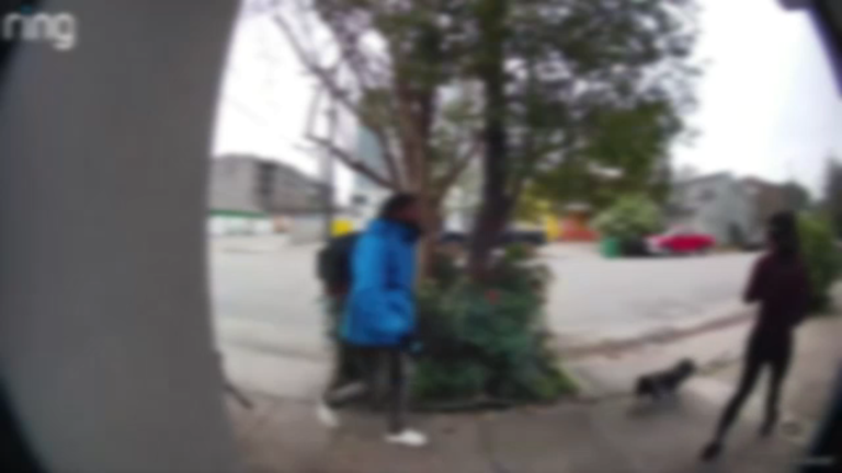 Police arrest man accused of attacking and harassing multiple women in Montrose area