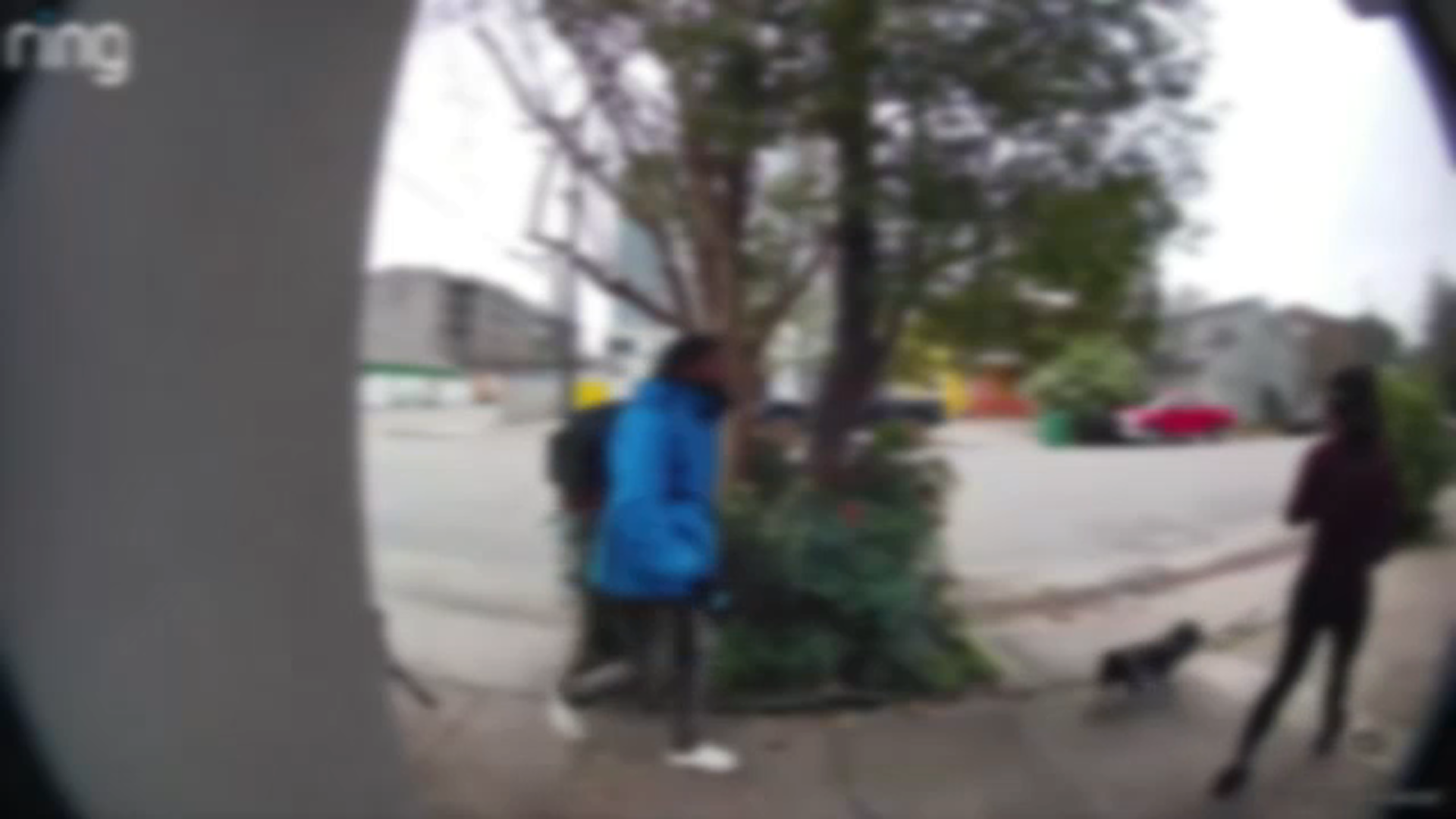 Police arrest man accused of attacking and harassing multiple women in Montrose area