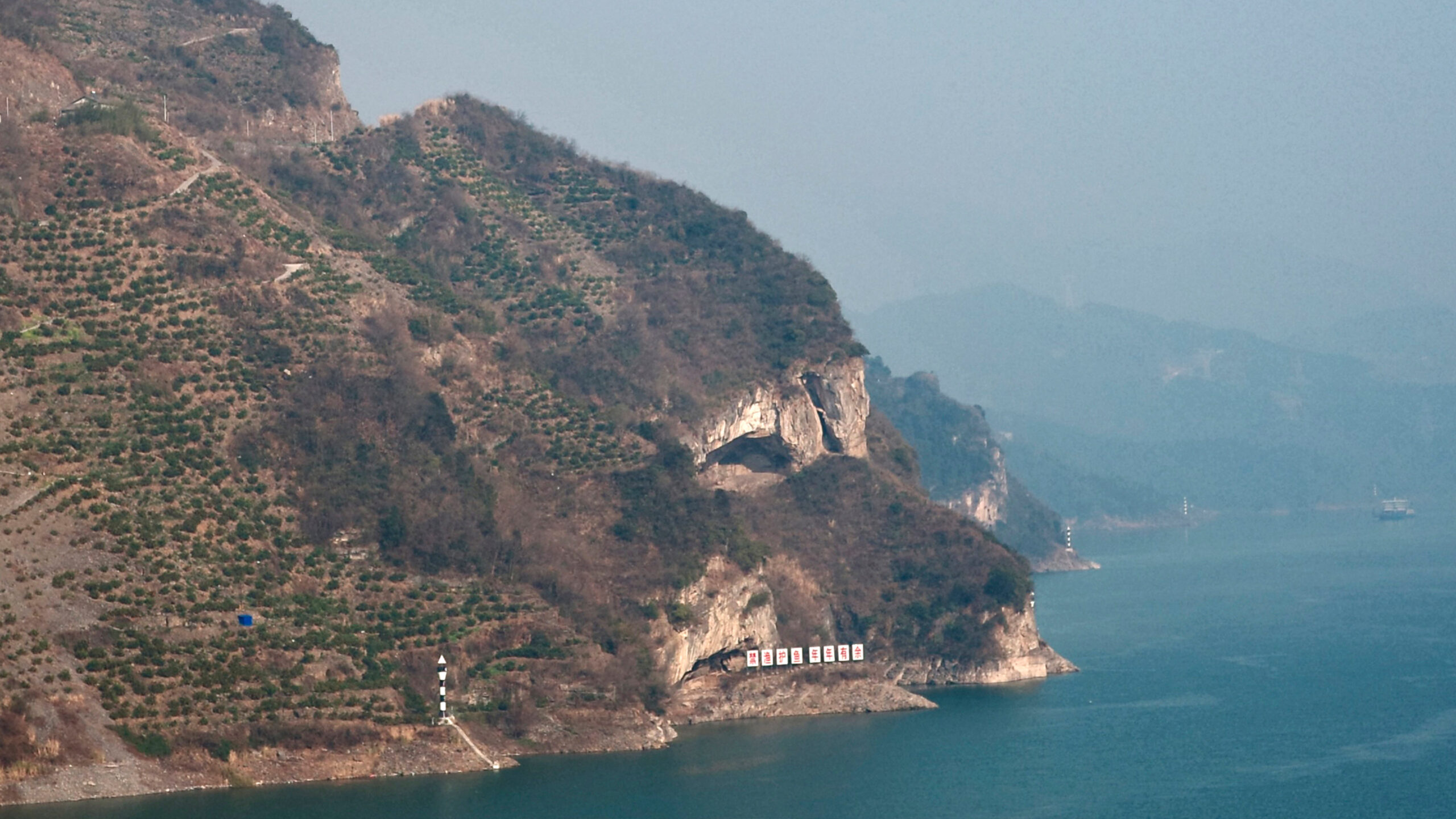 'Puppy Mountain' photo draws onlookers to a Chinese riverside