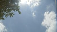 New 'heat-mapping' study shows large difference in temps among Houston and Harris Co. communities