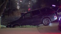 Rideshare driver shot and killed during carjacking on Houston's southside, police say