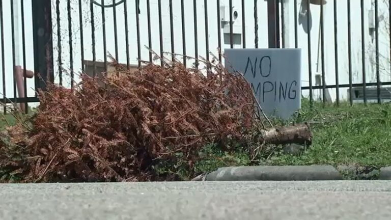 13 Investigates: More illegal dumping request made but fewer citations issued in Houston