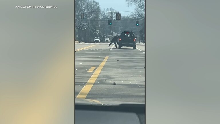 Shocking video shows axe attack in alleged road rage incident