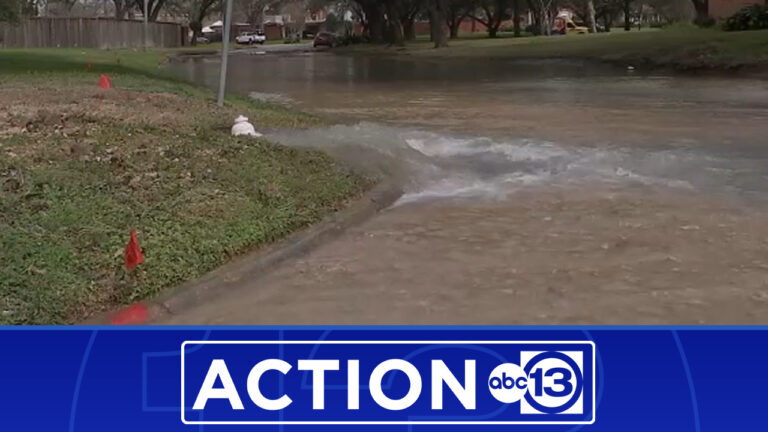 Action 13 gets results after leaking hydrant floods neighborhood in Third Ward