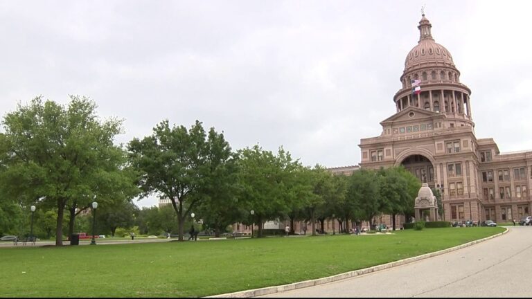 Moms Demand Action among 20 groups rallying in Austin pushing for changes to gun safety laws