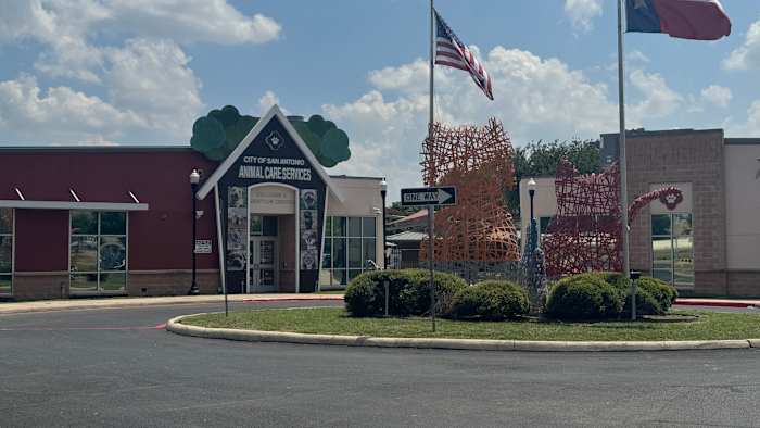 Animal Care Services employee fired for ‘inappropriate handling methods’ with dog, ACS says