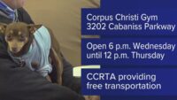 Corpus Christi city officials set to re-open emergency refuge center at Cabaniss as cold snap nears