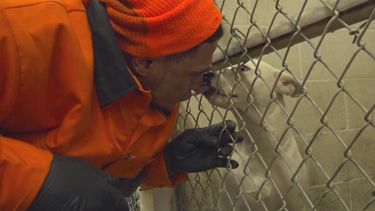 From cells to service: Nueces County inmates care for shelter animals