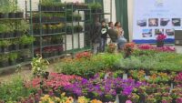Local businesses bloom at spring Home and Garden Show