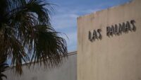San Antonio Public Library trustees to consider solar panel installations at nine branches