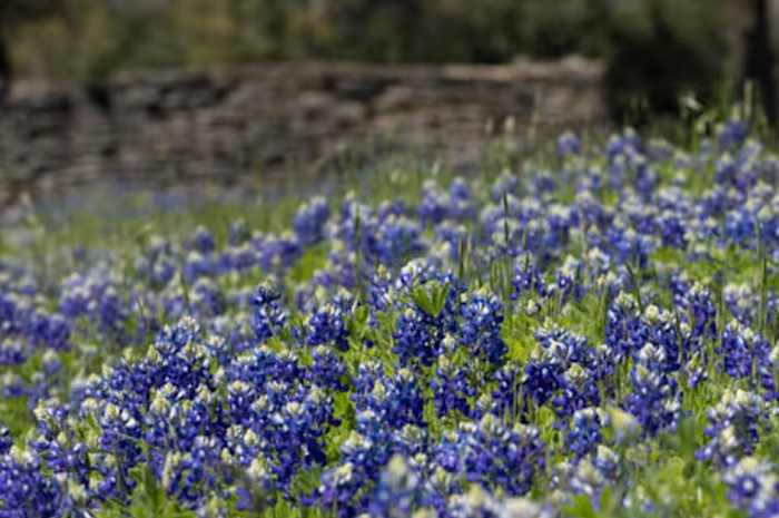 Warmer temperatures ahead for Texas, drought conditions may persist