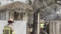 Dogs rescued from trailer that caught fire near Agnes St.; no injuries to people reported