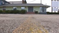 'There's this huge gap that doesn't feel good' | Pet owners concerned after Austin-based microchip company abruptly closes