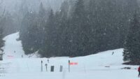 Avalanche buries 3 skiers near Anchorage, Alaska officials say