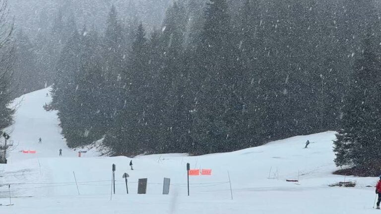 Avalanche buries 3 skiers near Anchorage, Alaska officials say