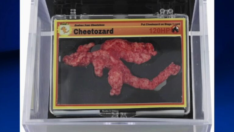 Pokémon-shaped Cheeto, 'Cheetozard,' sells at auction for $87,840
