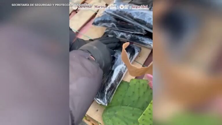 Mexican authorities find 275,000 fentanyl pills, powder hidden in boxes of cactus pieces