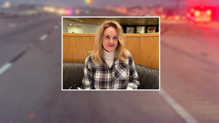 18-wheeler driver distracted by dating app at time of crash killing woman, lawsuit claims