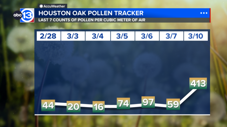 Oak pollen counts skyrocket, welcoming start of allergy season in Houston