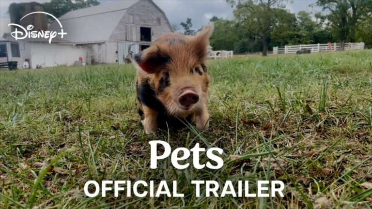 Trailer: Bryce Dallas Howard directs heartwarming 'Pets' documentary, coming to Disney+