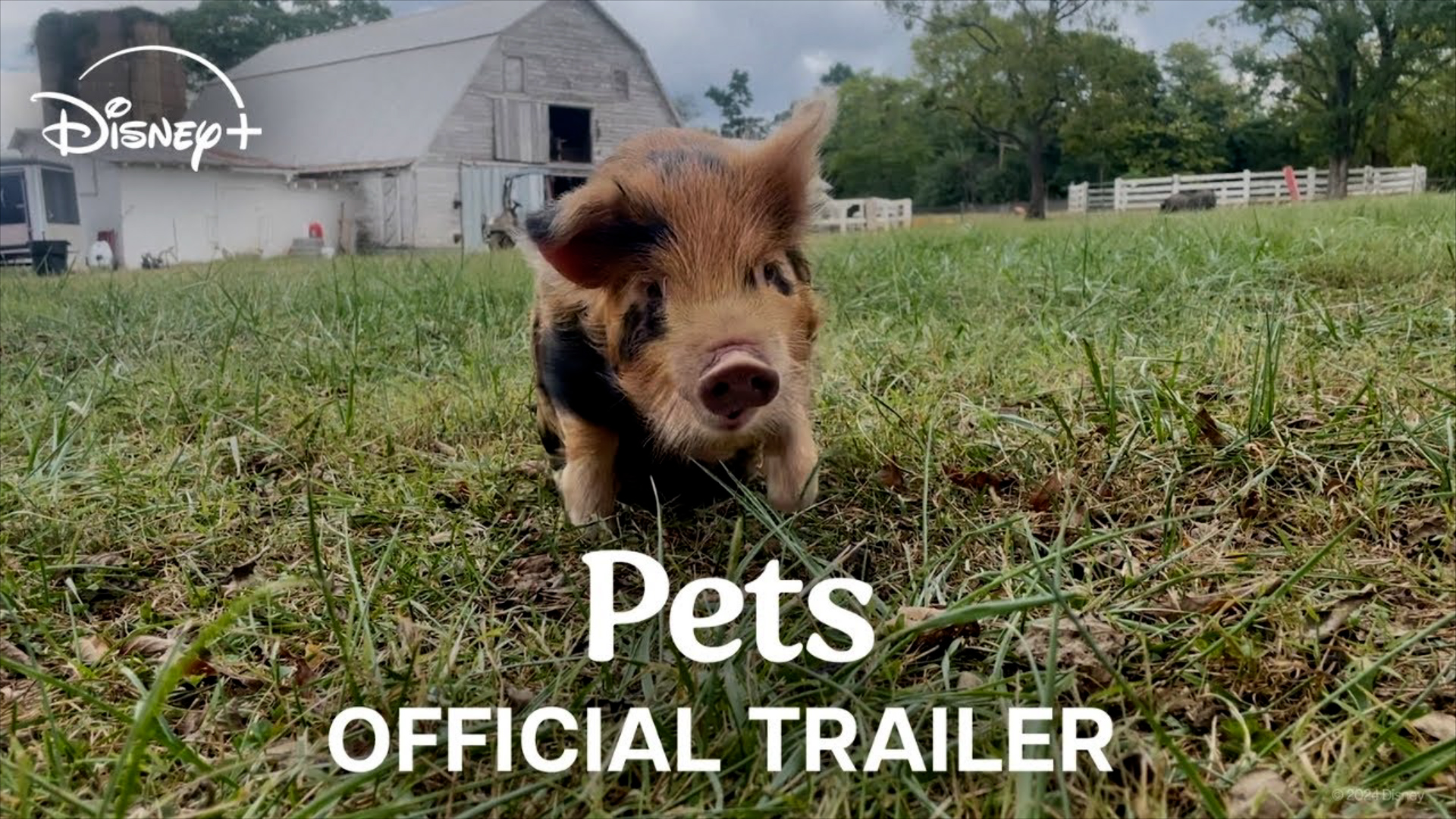 Trailer: Bryce Dallas Howard directs heartwarming 'Pets' documentary, coming to Disney+
