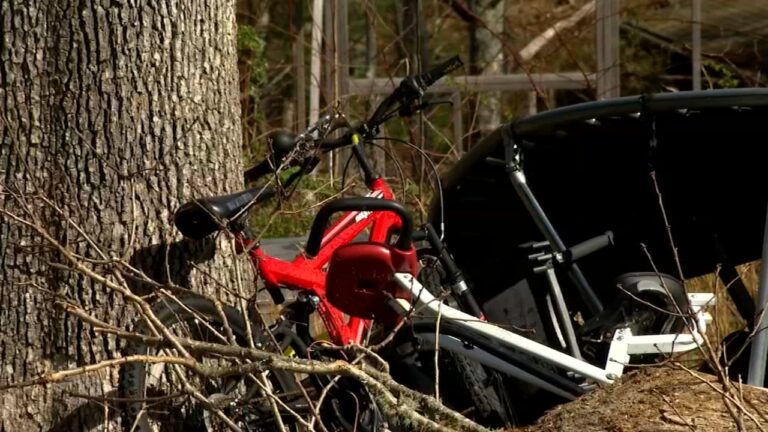 North Carolina brothers die after tree falls on home during weekend storm: 'Great kids'
