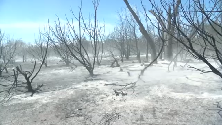 Firefighter injured while battling Crabapple fire in Gillespie County, officials say