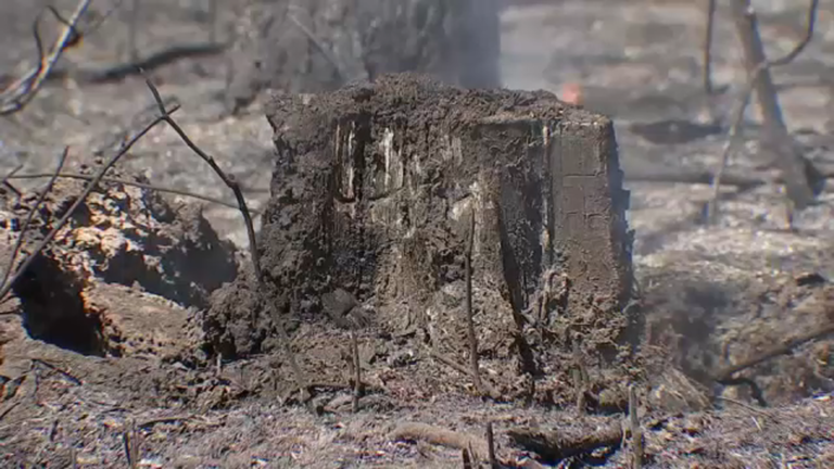 'It was a miracle': Family evacuated from San Jacinto County wildfire grateful nobody hurt