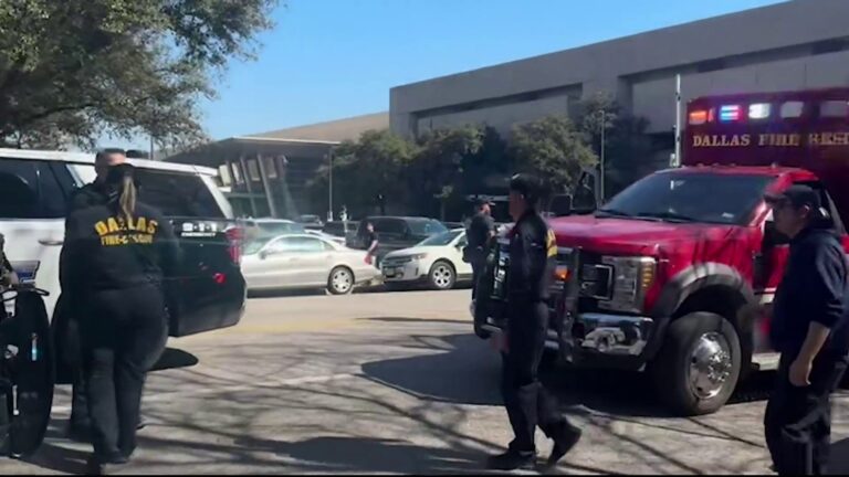 San Antonio Zoo CEO recalls ‘chaos’ at Dallas cheer competition after fight causes evacuation