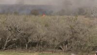 Temporary shelters open in San Antonio area amid brush fire evacuations