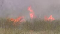Why high winds can create dangerous situations for firefighters, public