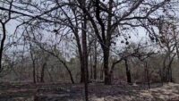 Expected weekend winds have some people on edge, worried about more grassfires