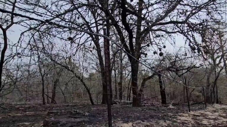 Expected weekend winds have some people on edge, worried about more grassfires