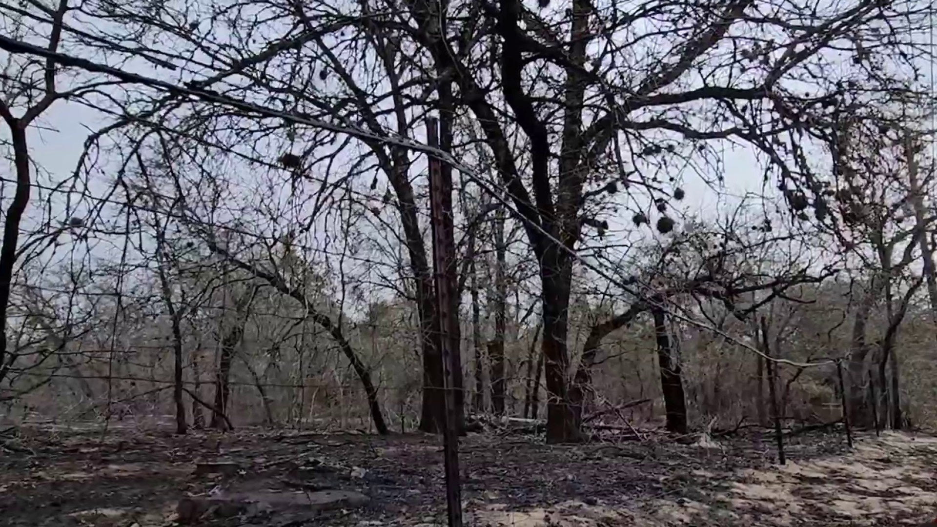 Expected weekend winds have some people on edge, worried about more grassfires