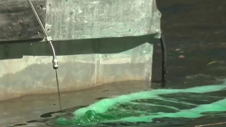 San Antonio River turns green for St. Patrick’s Day tradition and celebrations