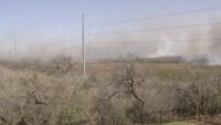 How to protect yourself from smoke, dust and oak pollen