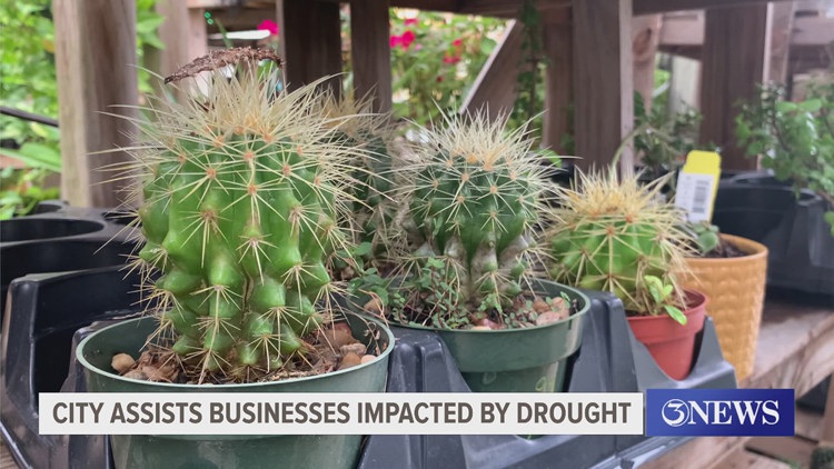 Informational meeting being held Thursday for business owners interested in city's $50K grants