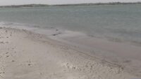 Lake Corpus Christi shoreline expands as water continues to disappear
