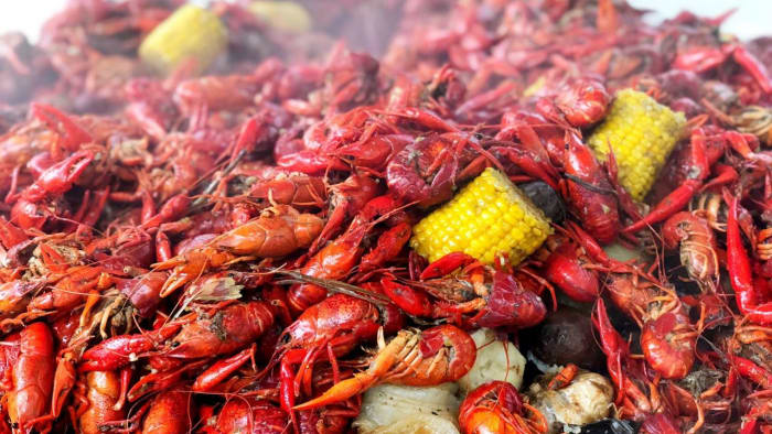 Big TX Fun Crawfish Boil Festival returns for 8th year in March