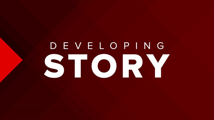 Pedestrian dies after being struck at crosswalk in late Monday night incident