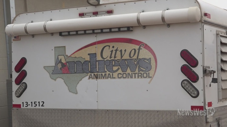 Andrews Animal Shelter at full capacity after windstorm, urges pet owners to reclaim lost animals
