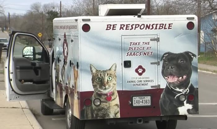 Woman taken to hospital after dog attack on North Side, police say