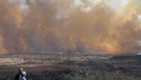 TIMELINE: What we know about Gillespie County’s Crabapple Fire