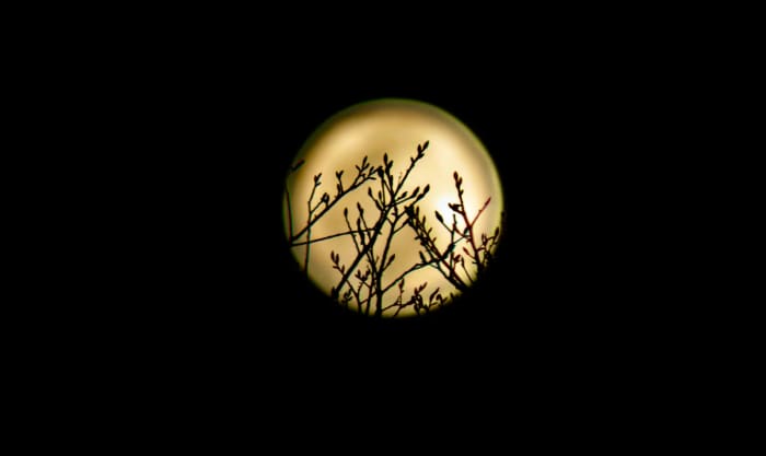 South Texas will experience a total lunar eclipse this week. What is the ‘worm moon?’