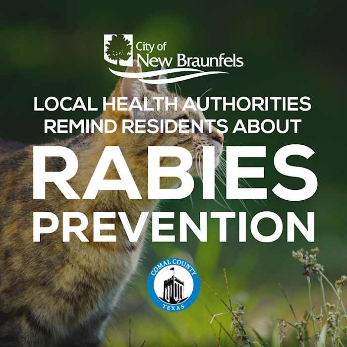 Rabies confirmed in New Braunfels cat; health officials advise caution