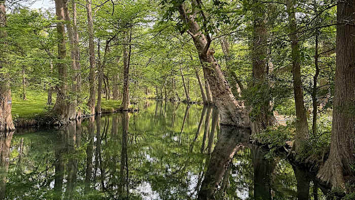 Wimberley’s Blue Hole Park awarded $3 million to support environmental programming at future nature hub