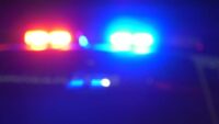 Three people hospitalized after dog attack in Pleasanton, police say