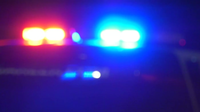 Three people hospitalized after dog attack in Pleasanton, police say